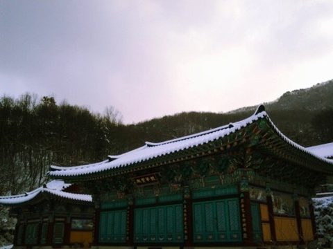 제8회 일공스님과 함께 하는 합동천도대재 (2015.02.24)