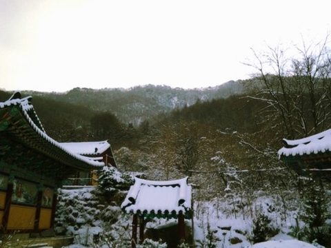 제8회 일공스님과 함께 하는 합동천도대재 (2015.02.24)