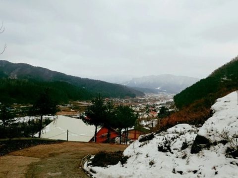 젊은 여인의 천도(薦度)/ 詩 사진 3