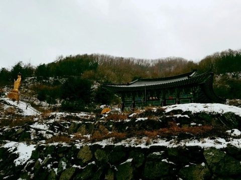 젊은 여인의 천도(薦度)/ 詩 사진 4