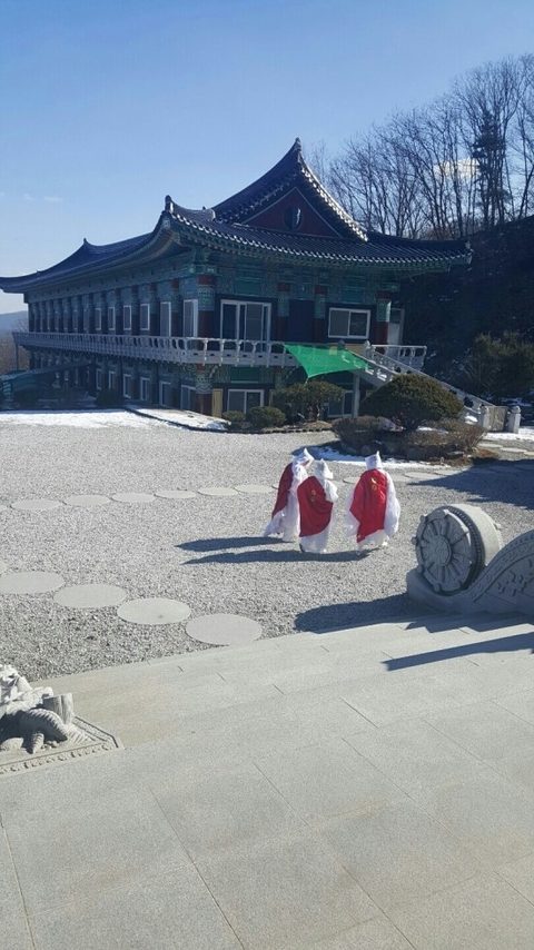 관련 기록 천도