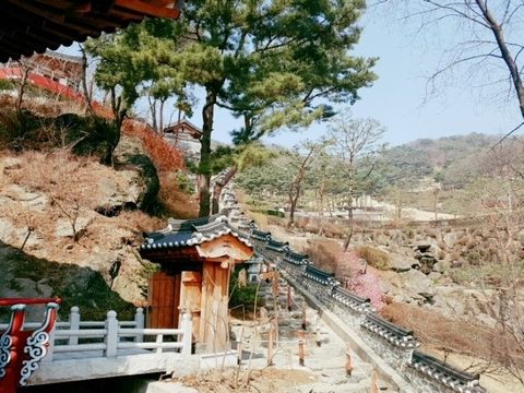 일공스님과 함께 하는 천도법회/호신불 점안법회 (2017.04)