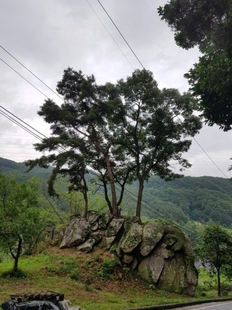 생전예수재 법회/쌍미륵사 사진 5
