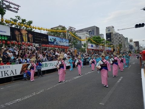 2017 일본 도쿠시마 아와오도리 축제 공연 · 사진 36