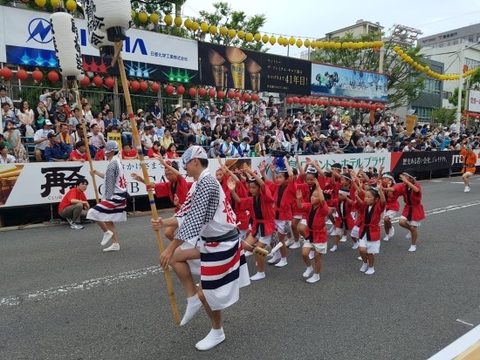 2017 일본 도쿠시마 아와오도리 축제 공연 · 사진 38