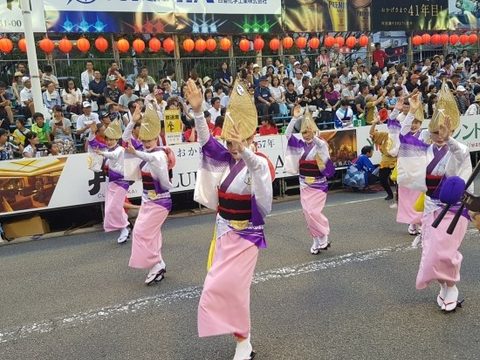 2017 일본 도쿠시마 아와오도리 축제 공연 · 사진 46