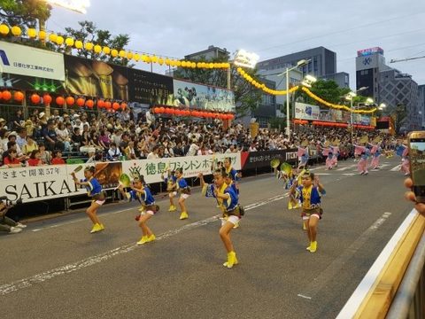 2017 일본 도쿠시마 아와오도리 축제 공연 · 사진 51