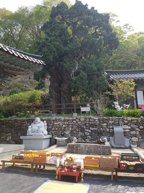 천자암 천도재 (2018)