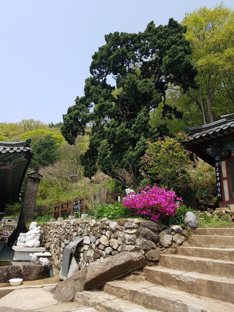 천자암 천도재 (2018)