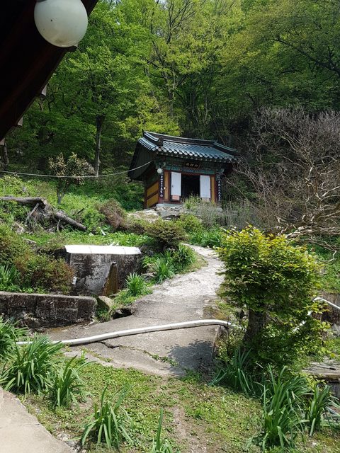 천자암(天子庵)에서의 하루 사진 10