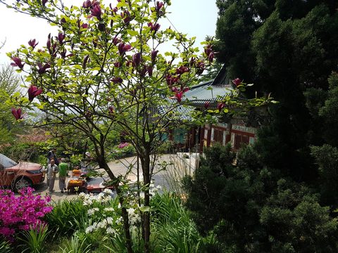 천자암(天子庵)에서의 하루 사진 11