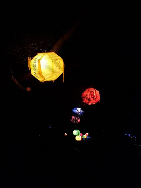 추야秋夜 사진 3